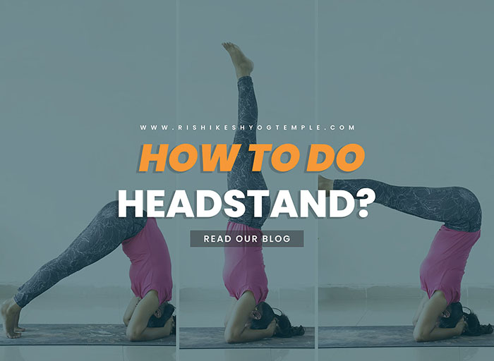 How to Do A Headstand by Rishikesh Yog Temple